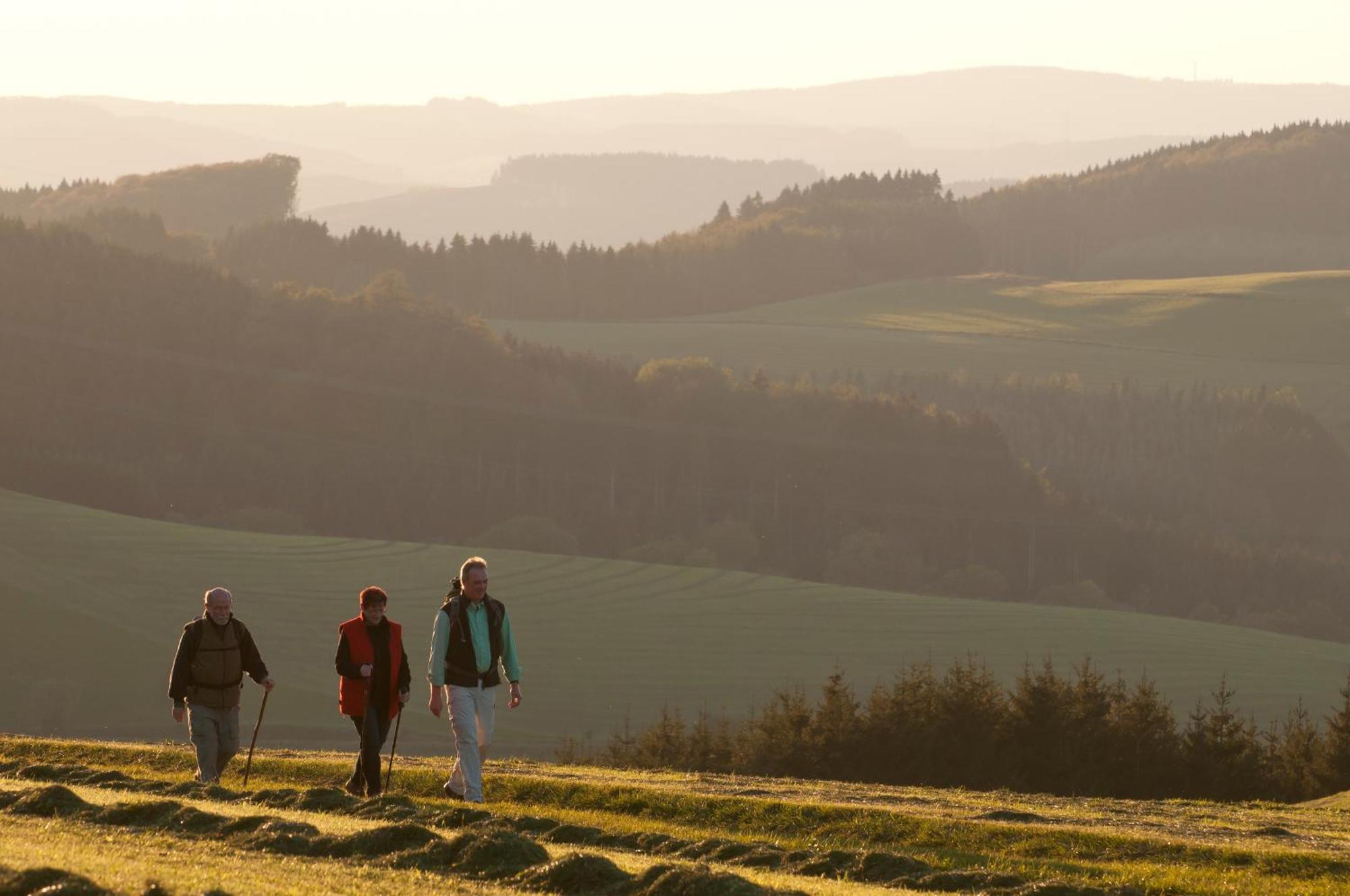 Wuellner'S Landgasthof Schmallenberg Luaran gambar