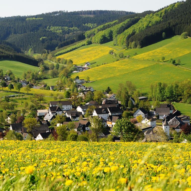 Wuellner'S Landgasthof Schmallenberg Luaran gambar
